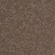 Extraordinary Touch I in Hiking Trail - Carpet by Shaw Flooring