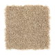 Brilliant Design in Chamomile - Carpet by Mohawk Flooring
