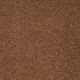 Truly Modern II 12' in Dark Amber - Carpet by Shaw Flooring
