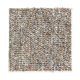 Memorabilia in Silver Maple - Carpet by Mohawk Flooring