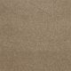 Secret Escape I 12 in Antique Parchment - Carpet by Shaw Flooring
