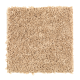 Sassy Arrangement in Muslin - Carpet by Mohawk Flooring