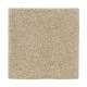 Organic Beauty I in Raffia Basket - Carpet by Mohawk Flooring