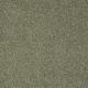 Gold Texture in Toscana Italia - Carpet by Shaw Flooring
