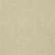 Highland Cove II 15 in Cream - Carpet by Shaw Flooring