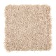 Smart Color in Jute - Carpet by Mohawk Flooring