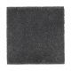 Nature's Charm II in Deep Slate - Carpet by Mohawk Flooring