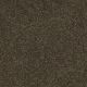 Corner Cafe 15' in Tropic Vine - Carpet by Shaw Flooring
