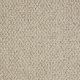 Great Start in Sunrise - Carpet by Shaw Flooring