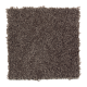 Wise Choice in Coffee Bean - Carpet by Mohawk Flooring