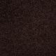 Our Delight I 15' in Dark Roast - Carpet by Shaw Flooring