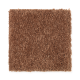 Serene Sierra in Pumpkin Spice - Carpet by Mohawk Flooring