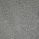 Silver Texture in Grey Fog - Carpet by Shaw Flooring