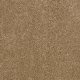 Enhanced Beauty in Campfire - Carpet by Mohawk Flooring