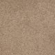 Sandy Hollow I 15' in Muffin - Carpet by Shaw Flooring
