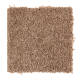 Sweet Reflection in Rich Maple - Carpet by Mohawk Flooring