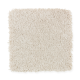 Elegant Appeal I in Haze - Carpet by Mohawk Flooring