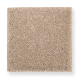 Pure Satisfaction in Sequoyah Dusk - Carpet by Mohawk Flooring