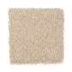 Elegant Appeal I in Ancient Scroll - Carpet by Mohawk Flooring