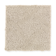 Natural Glory in Birch Bark - Carpet by Mohawk Flooring
