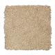 Comfortable Creation I in Cobble Path - Carpet by Mohawk Flooring
