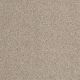 Hillshire in Suitable - Carpet by Shaw Flooring