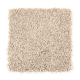 Style Objective in Thatched Straw - Carpet by Mohawk Flooring