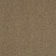 Secret Escape III 12 in Gingersnaps - Carpet by Shaw Flooring