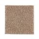 Casual Culture in Pine Cone - Carpet by Mohawk Flooring