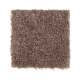 Top Card in Bearskin - Carpet by Mohawk Flooring