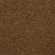 Passageway III 15 in Camel - Carpet by Shaw Flooring