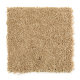 Trimaran in Corona - Carpet by Mohawk Flooring