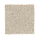 Soft Cheer in Shimmer - Carpet by Mohawk Flooring