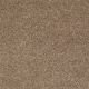 Full Court 12' in Taffy - Carpet by Shaw Flooring