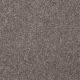 Highland Cove I 12 in Field Stone - Carpet by Shaw Flooring