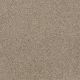 Design Texture Gold in Travertine - Carpet by Shaw Flooring