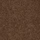 Our Delight III in Toasty - Carpet by Shaw Flooring