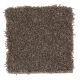 Enticing Objective in Pine Cone - Carpet by Mohawk Flooring