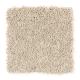 Trimaran in Seagull - Carpet by Mohawk Flooring