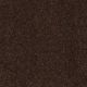Truly Modern III 12' in Coffee Bean - Carpet by Shaw Flooring