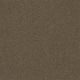 Second Glance in Hearth - Carpet by Shaw Flooring