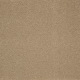 Memorable View in Canyon Shade - Carpet by Mohawk Flooring