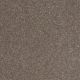 Enjoy The Moment 1 12 in Camel - Carpet by Shaw Flooring