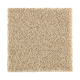 Nature's Appeal II in Raffia Basket - Carpet by Mohawk Flooring