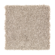 Benson Park in Brushed Suede - Carpet by Mohawk Flooring