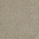 Roadside in Zamara Sand - Carpet by Shaw Flooring