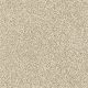 Delicate Distinction Classic I in Toasted Grain - Carpet by Shaw Flooring