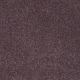 Platinum Texture 12' in Kudu Berries - Carpet by Shaw Flooring