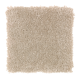Creative Factor I in Light Antique - Carpet by Mohawk Flooring