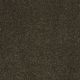 Secret Escape III 12 in Silken Moss - Carpet by Shaw Flooring